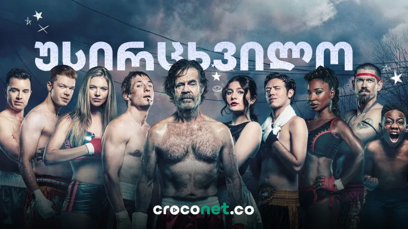 Shameless - გალაჰერების ქაოსური ოჯახი და თავგადასავლები