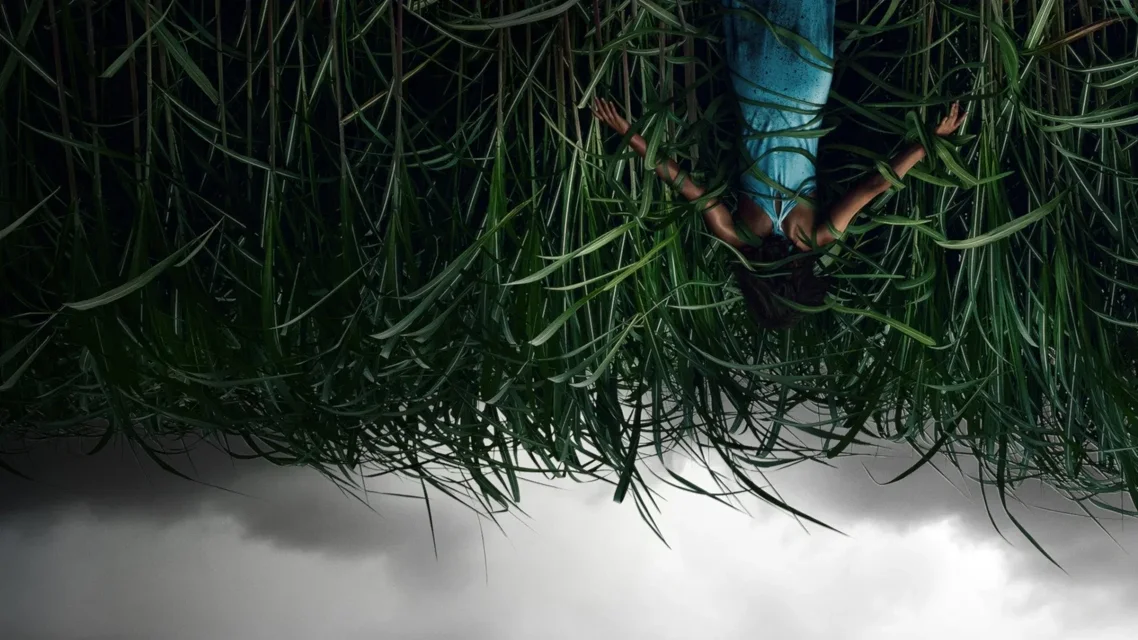 მაღალ ბალახში ქართულად | In the Tall Grass Qartulad