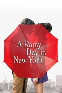 წვიმიანი დღე ნიუ იორკში | A Rainy Day in New York