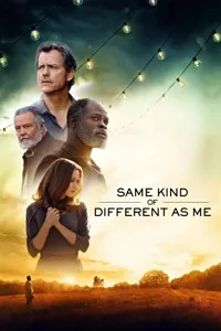 ისეთივე სხვანაირი, როგორც მე | Same Kind of Different as Me