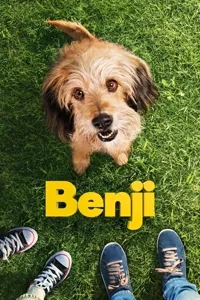 ბენჯი | Benji