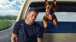 Dog (2025)
