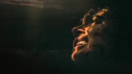 Texas Chainsaw Massacre