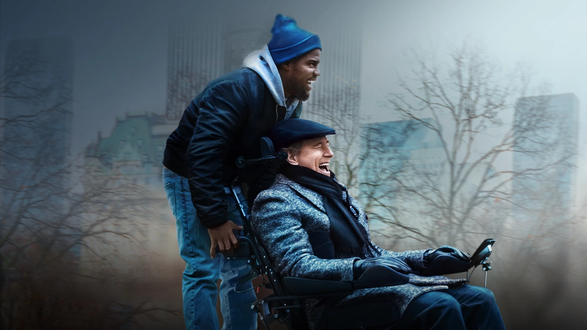 დადებითი მხარე - The Upside