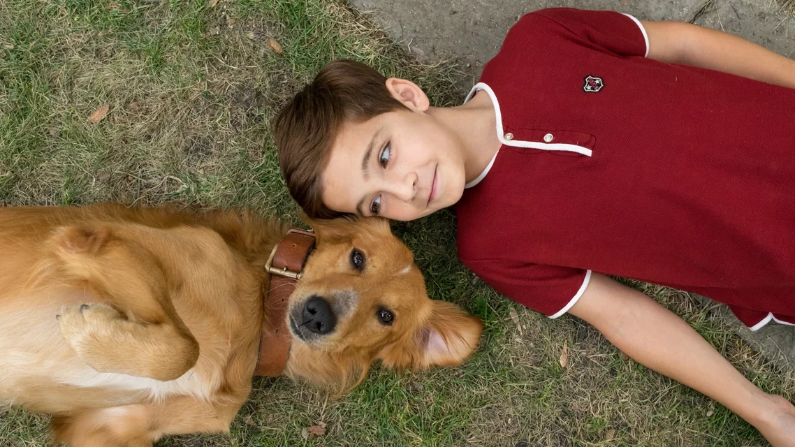 ძაღლური ცხოვრება ქართულად | A Dog's Purpose Qartulad