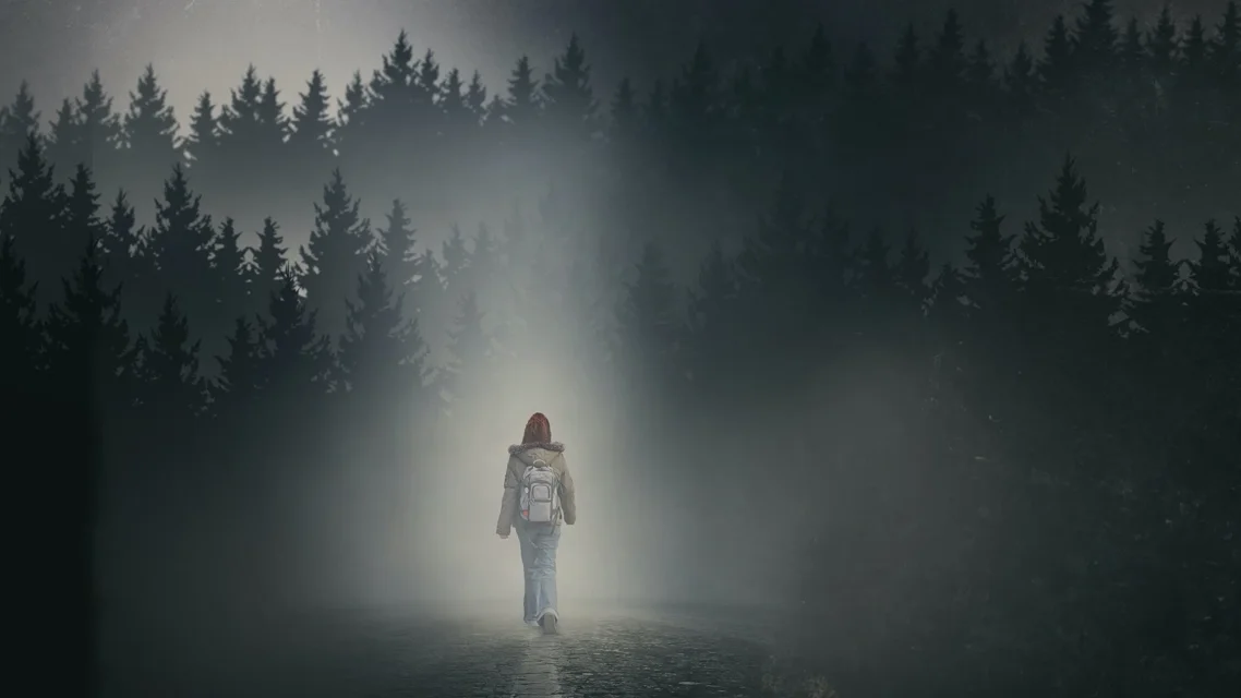 გოგონა ნისლში ქართულად | The Girl in the Fog Qartulad