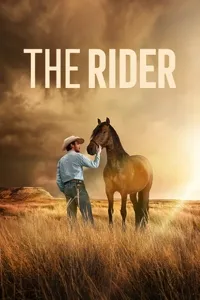 მხედარი | The Rider