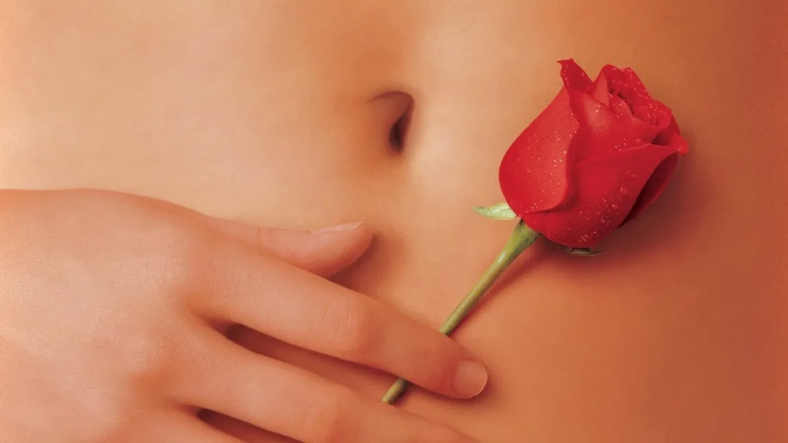 ამერიკული სილამაზე ქართულად | American Beauty Qartulad