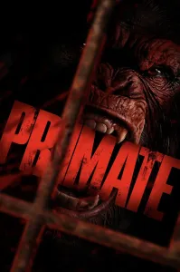 პრიმატი | Primate