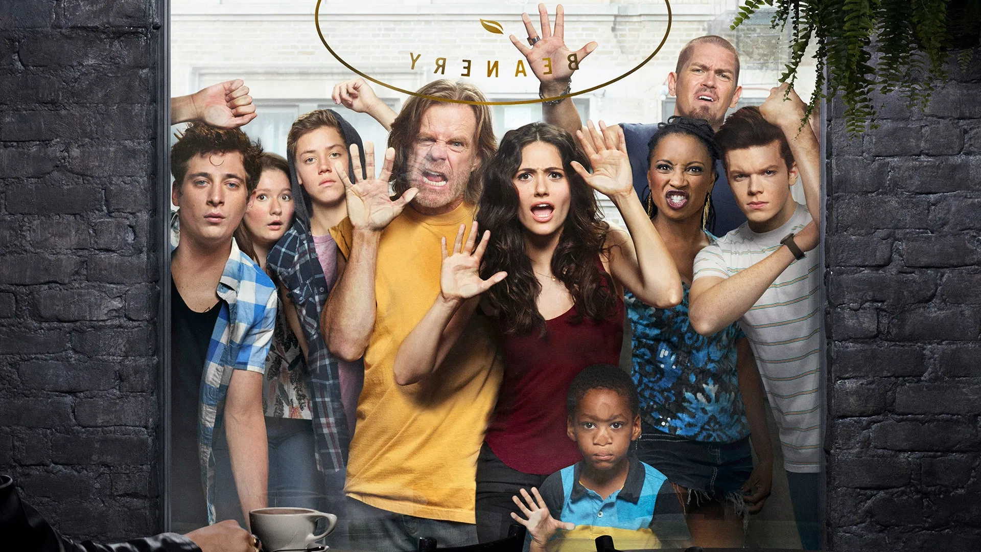უსირცხვილო - Shameless