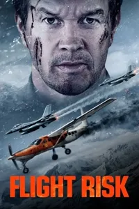 სახიფათო რეისი | Flight Risk