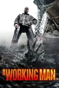 პროფესიონალი | A Working Man