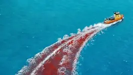 Dangerous Animals