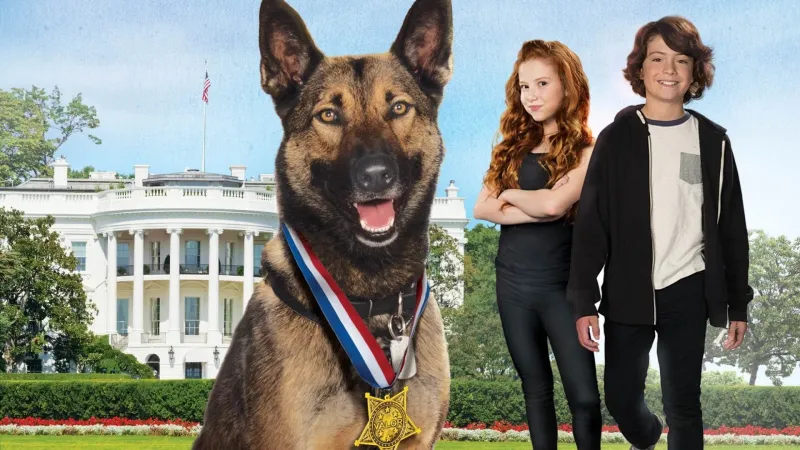 მაქსი 2 : თეთრი სახლის გმირი | Max 2: White House Hero