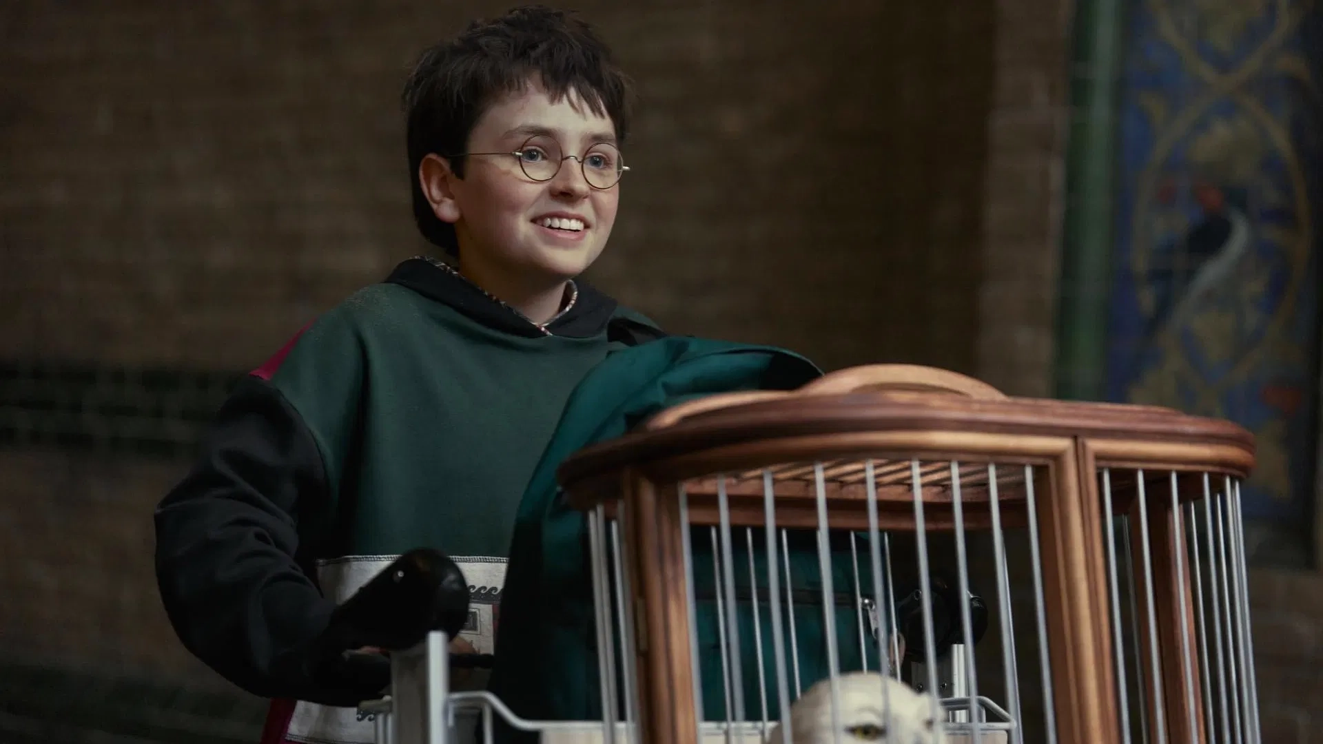 ჰარი პოტერი - Harry Potter