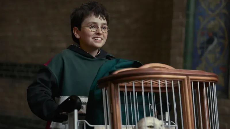 ჰარი პოტერი | Harry Potter