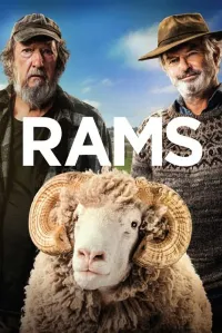ვერძები | Rams