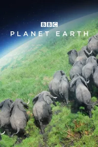 პლანეტა დედამიწა | Planet Earth