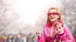 Legally Blonde