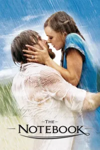 უბის წიგნაკი | The Notebook