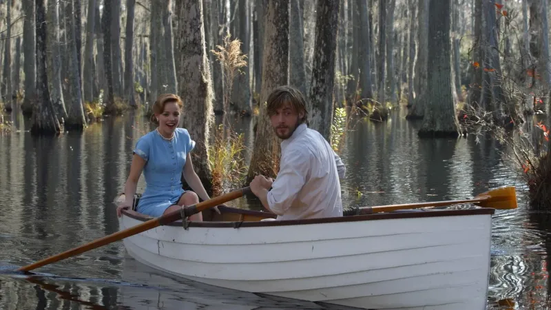 უბის წიგნაკი | The Notebook