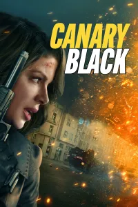 კანარი ბლექი | Canary Black