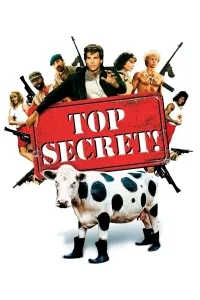 სრულიად საიდუმლოდ! | Top Secret!