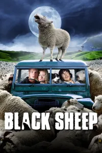 შავი ცხვარი | Black Sheep