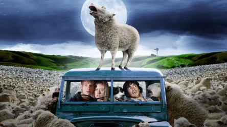შავი ცხვარი | Black Sheep