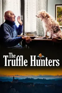 ტრუფელებზე მონადირეები | The Truffle Hunters
