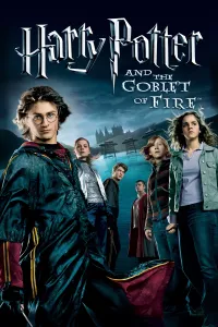 ჰარი პოტერი და ცეცხლოვანი თასი | Harry Potter and the Goblet of Fire