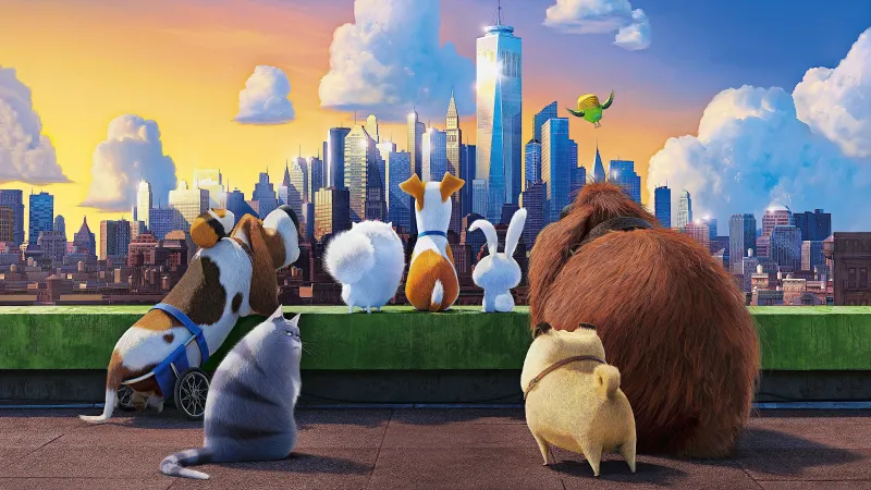 შინაური ცხოველების საიდუმლო ცხოვრება | The Secret Life of Pets