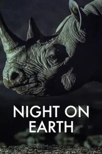 ღამე დედამიწაზე | Night on Earth