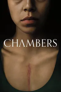 პალატები | Chambers