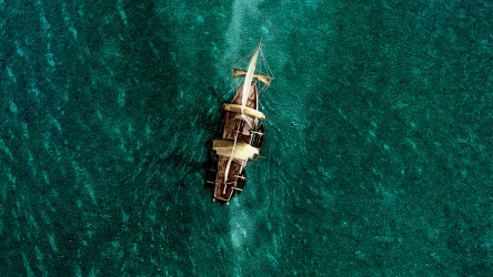 ზღვის გულში | In the Heart of the Sea