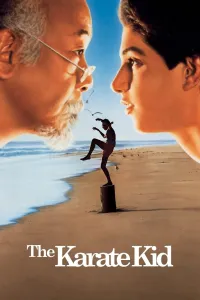 კარატისტი ბიჭუნა | The Karate Kid