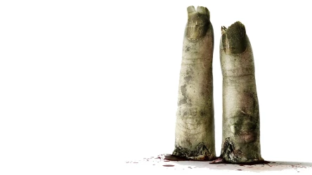 ხერხი 2 | Saw II
