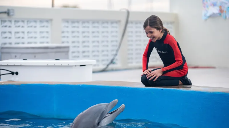 დელფინი ბერნი 2 | Bernie the Dolphin 2