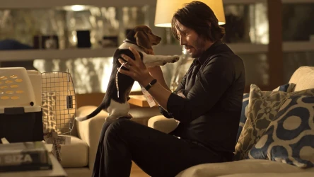 ჯონ ვიკი | John Wick
