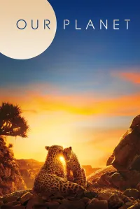 ჩვენი პლანეტა | Our Planet