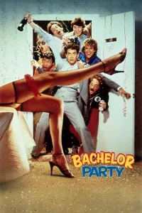 წვეულება | Bachelor Party