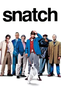 დიდი ფსონი | Snatch
