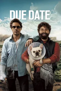 დანიშნული დრო | Due Date