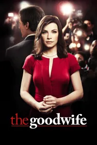 კარგი ცოლი | The Good Wife