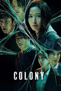 კოლონია | Colony