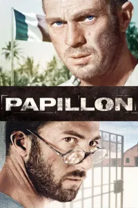 ფარვანა | Papillon