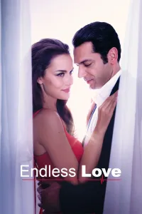 უსასრულო სიყვარული | Endless Love