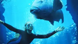 Blueback