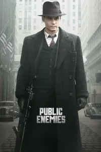 საზოგადოების მტერი | Public Enemies