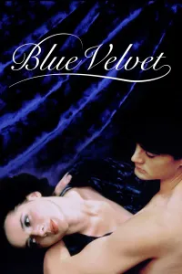 ლურჯი ხავერდი | Blue Velvet
